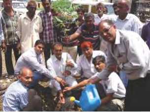 Tree plantation