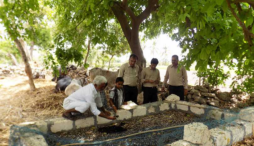 Rural Development Projects