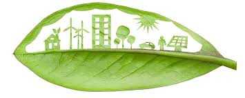 Environmental Sustainability