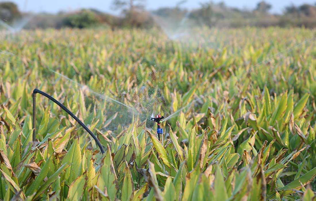 Holistic Rural Development Programme