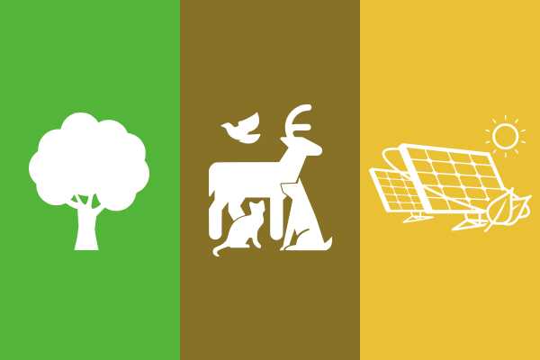 Environment and Sustainability