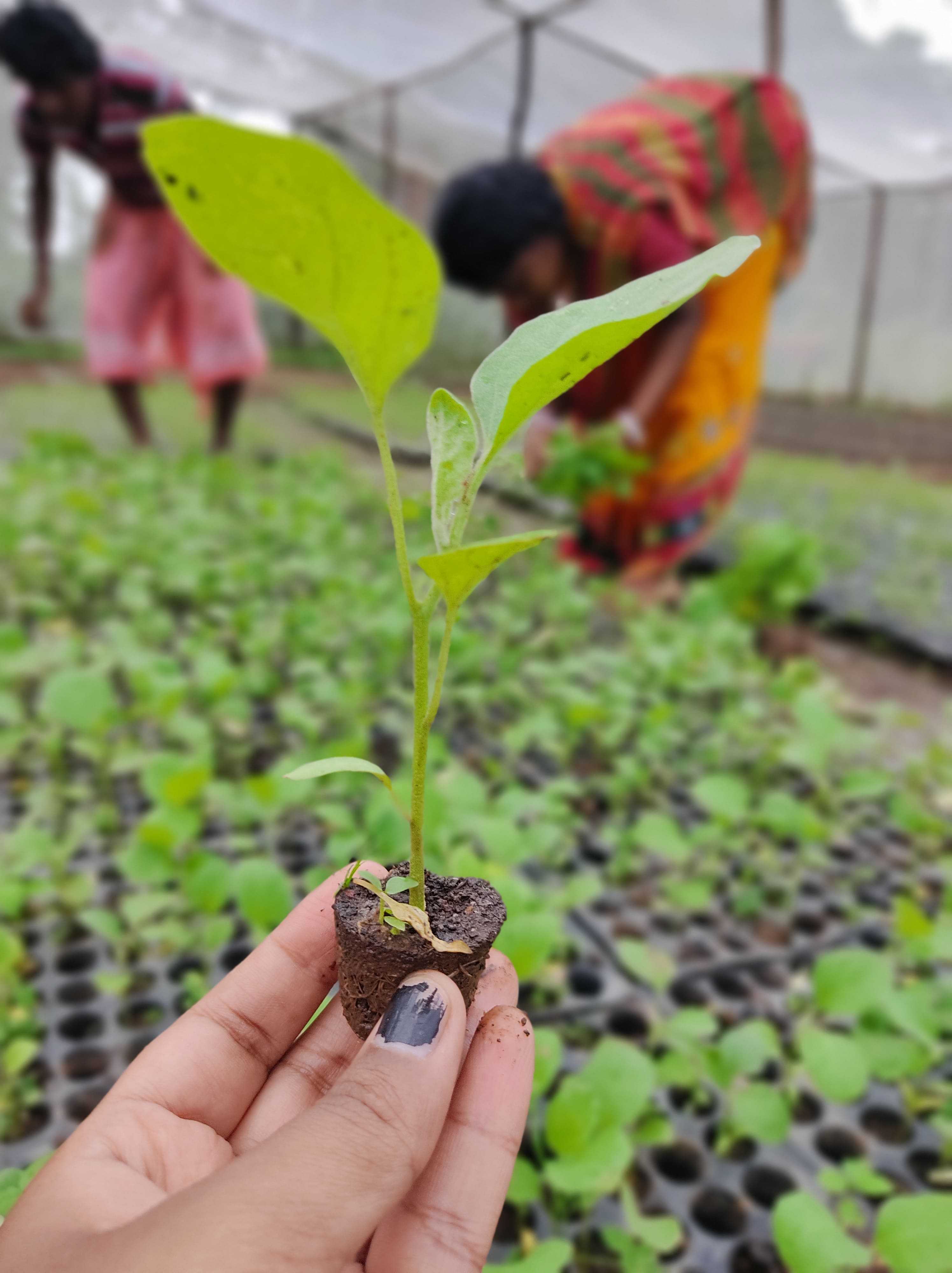 Women Empowerment Initiatives