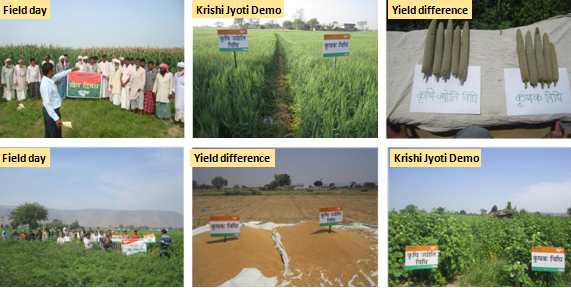 For small farmers, Mosaicâ€™s Krishi Jyoti project is a ray of hope