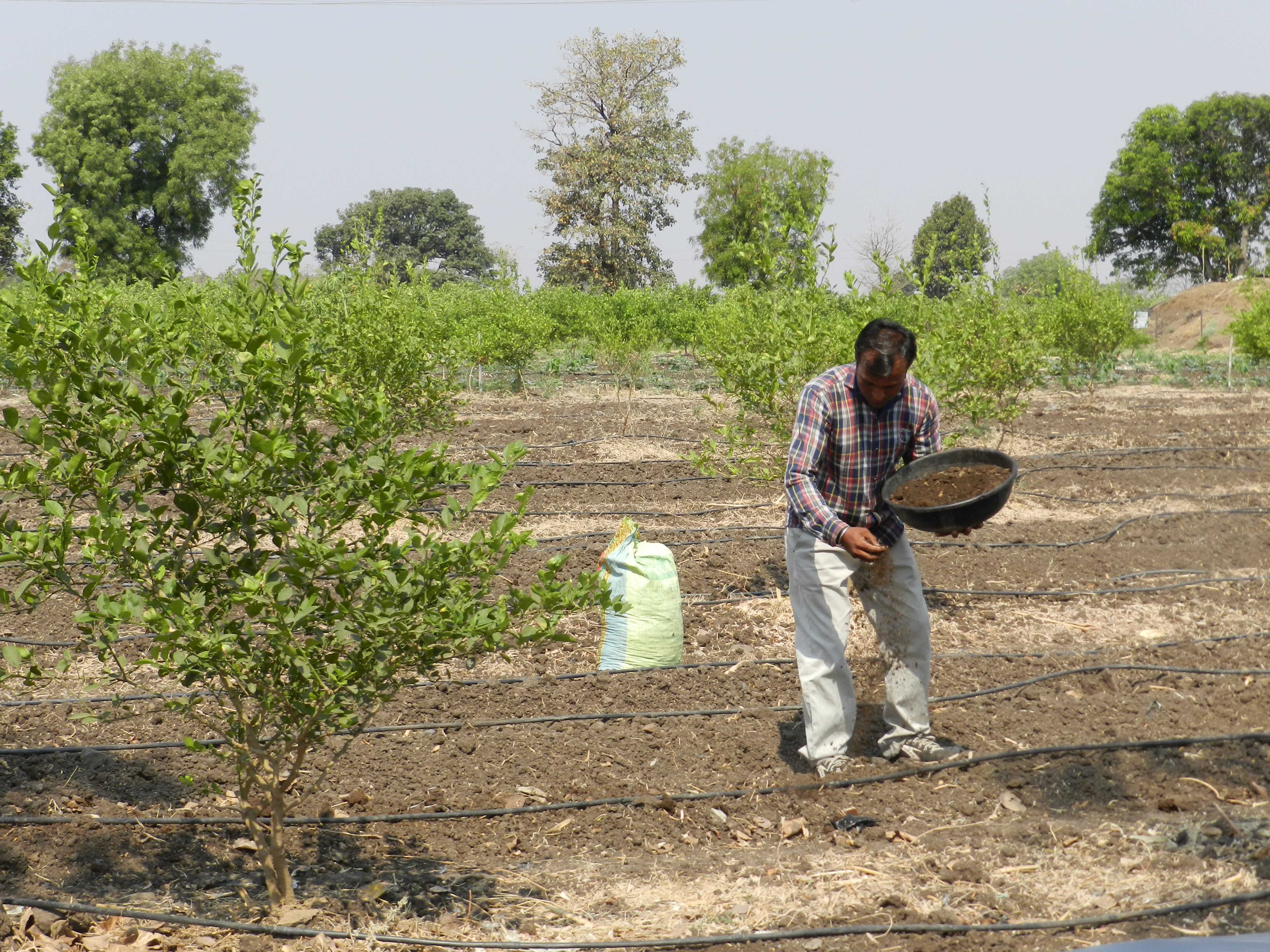 Youth entrepreneur working to make Vidarbha an export hub