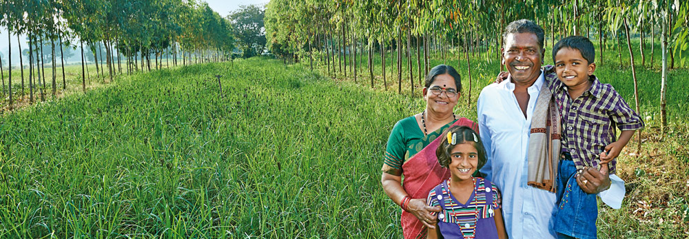 Greening the Wasteland and Reviving Agriculture for the Marginal Farmer