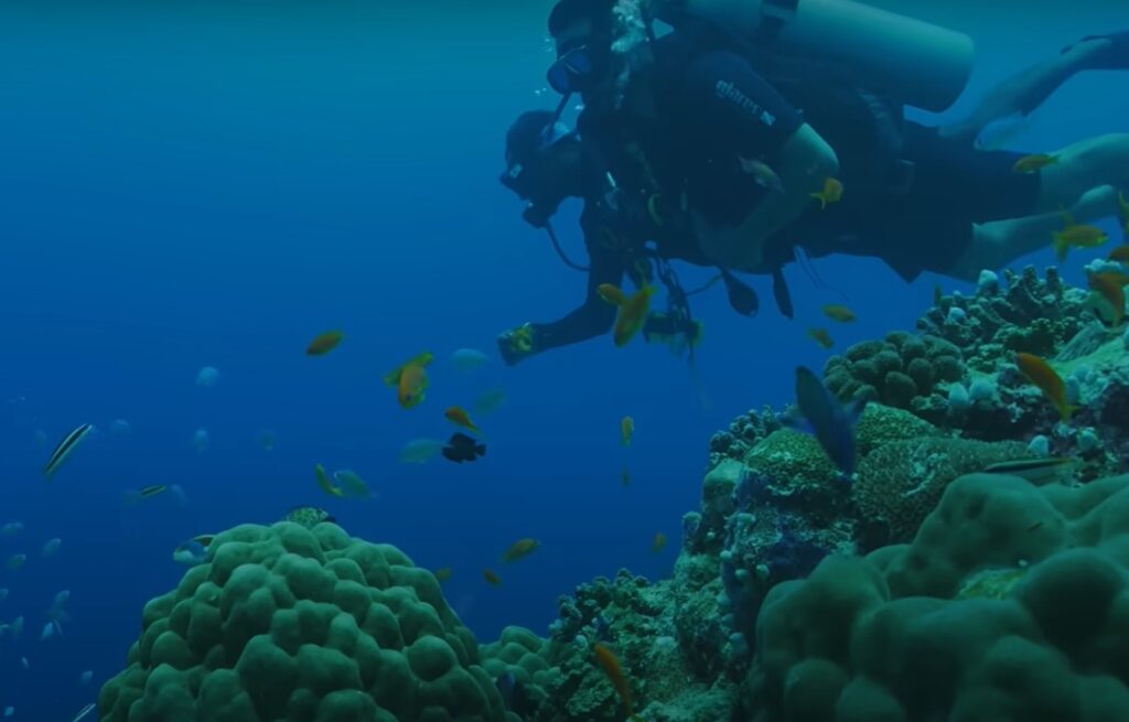 Dell Technologies' Oceanic Impact: Mitigating the Plastic Crisis for a Sustainable Future