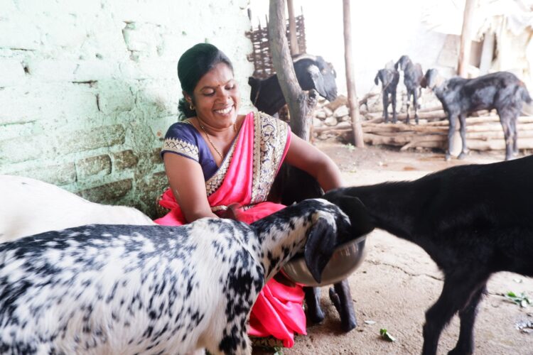 Ambuja Cements' Sustainable Livelihood Initiatives Transform Rural Chandrapur