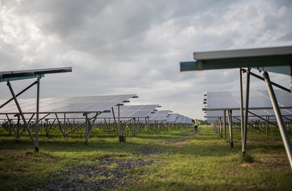 Water Security and Productivity: ACC CSR Drive Implements Solar Irrigation in Sindri