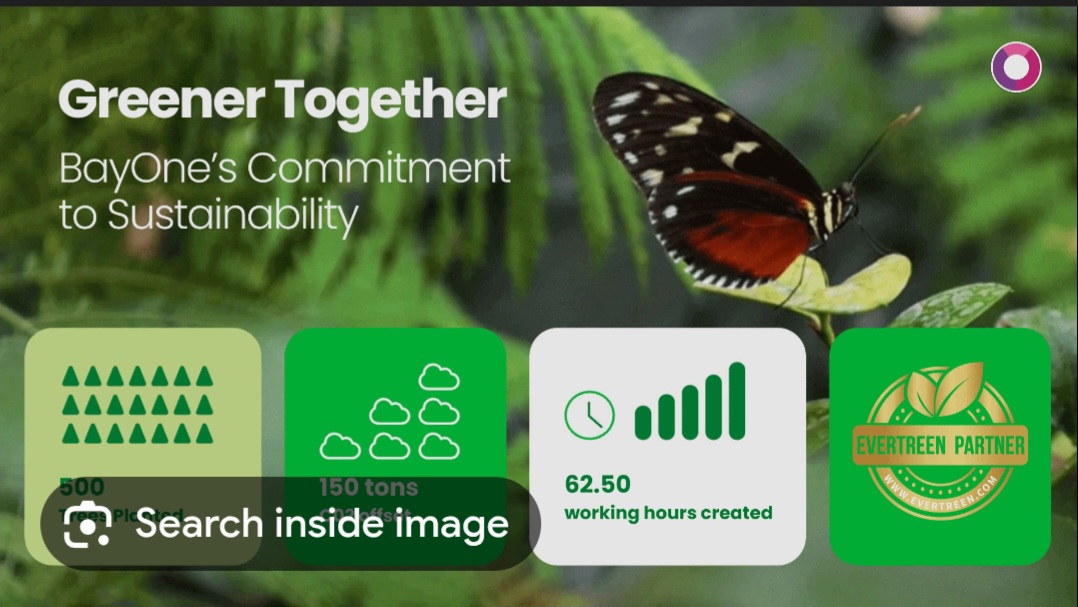 Greener Horizons: BayOne’s Global Tree-Planting Impact and Sustainable Community Action