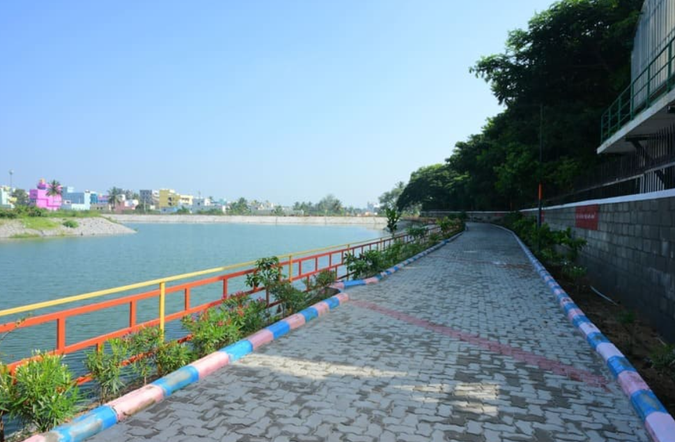 How Titan’s CSR Program Is Transforming Hosur’s Water Ecosystem Through Lake Rejuvenation