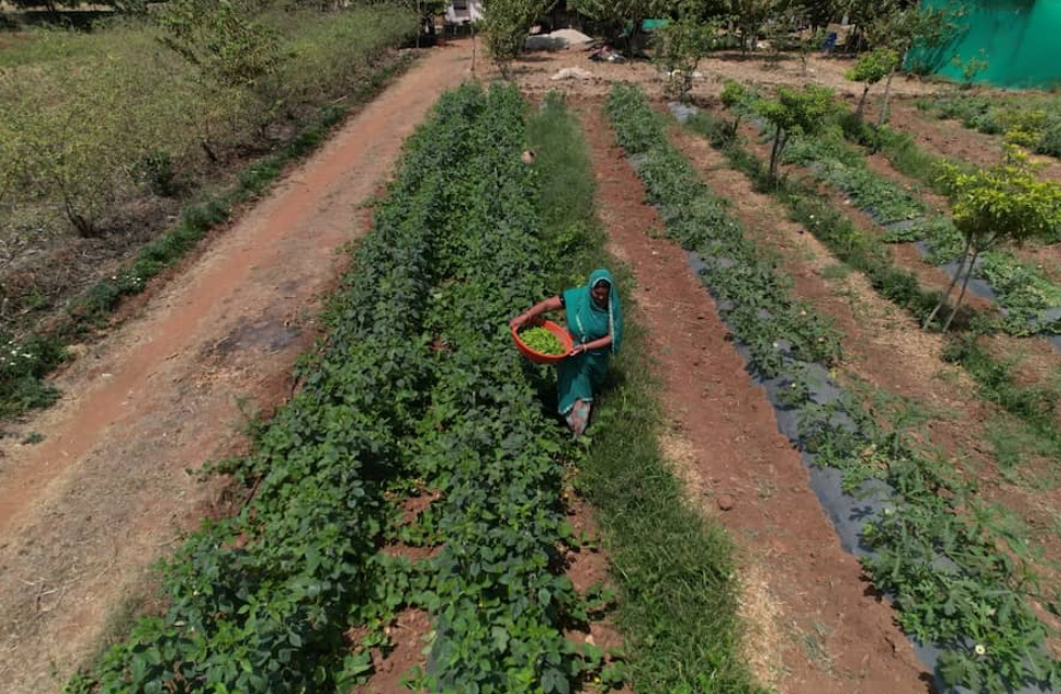 Hindustan Zinc’s CSR Project ‘Samadhan’ Transforms 35,000 Farmer Families in Rajasthan