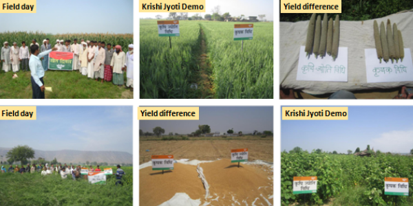 For-small-farmers,-Mosaicâ€™s-Krishi-Jyoti-project-is-a-ray-of-hope