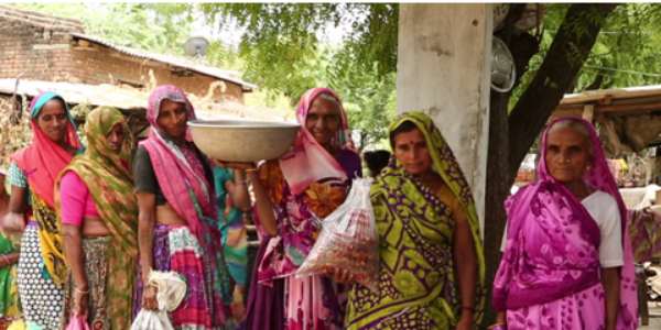 Neem-project--GNFC-giving-wings-to-the-vision-of-PM-Narendra-Modi