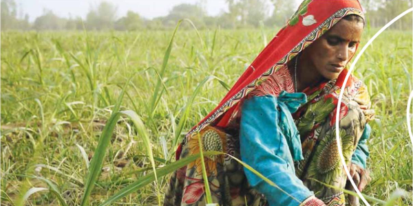 Dalmia-Bharat-Sugar-creates-Sustainable-Sugarcane-Farming-and-Efficient-Farmers