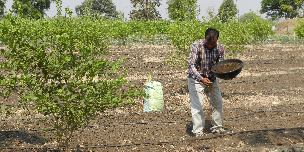 Youth-entrepreneur-working-to-make-Vidarbha-an-export-hub