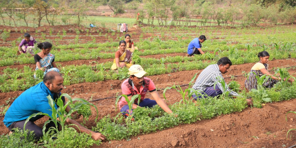 Creating-Empowered-Village-Communities-the-Swades-Way