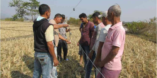 Solar-powered-electric-fencing-by-Aaranyak---helping-humans-and-elephants-to-co-exist!