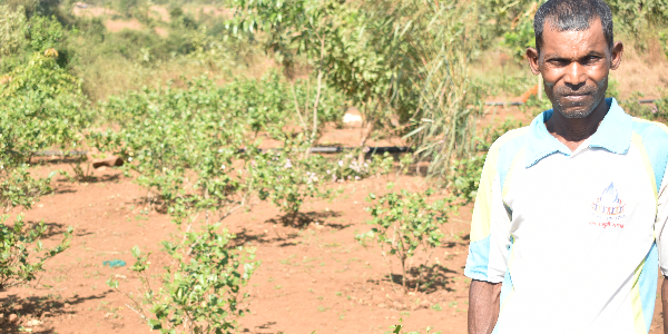 Integrated-Village-Development-Program---A-Joint-Journey-Towards-Development--