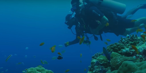 Dell-Technologies'-Oceanic-Impact--Mitigating-the-Plastic-Crisis-for-a-Sustainable-Future