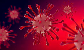 Ambuja Cement, ACC give â‚¹3.3 cr to NGOs working on Covid relief