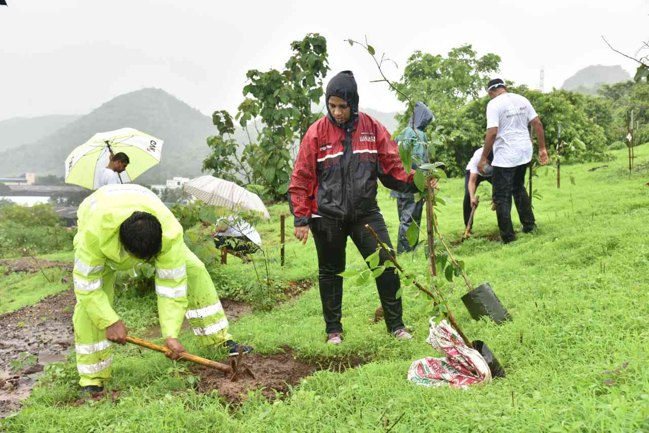 CenturyPly pledges to plant 10,000 trees on Van Mahotsav 2021
