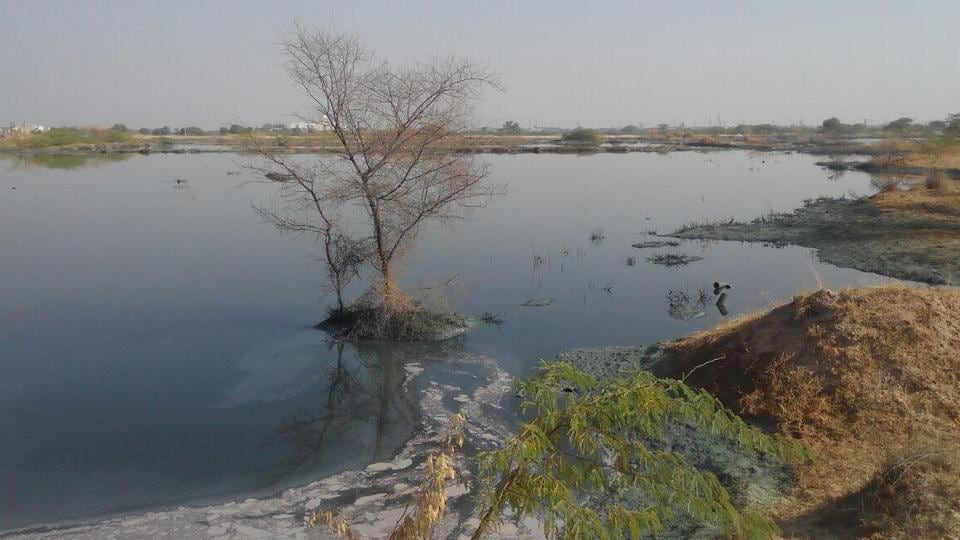 ACC and Ambuja Cementsâ€™ in-house waste management arm building a clean and green future of India