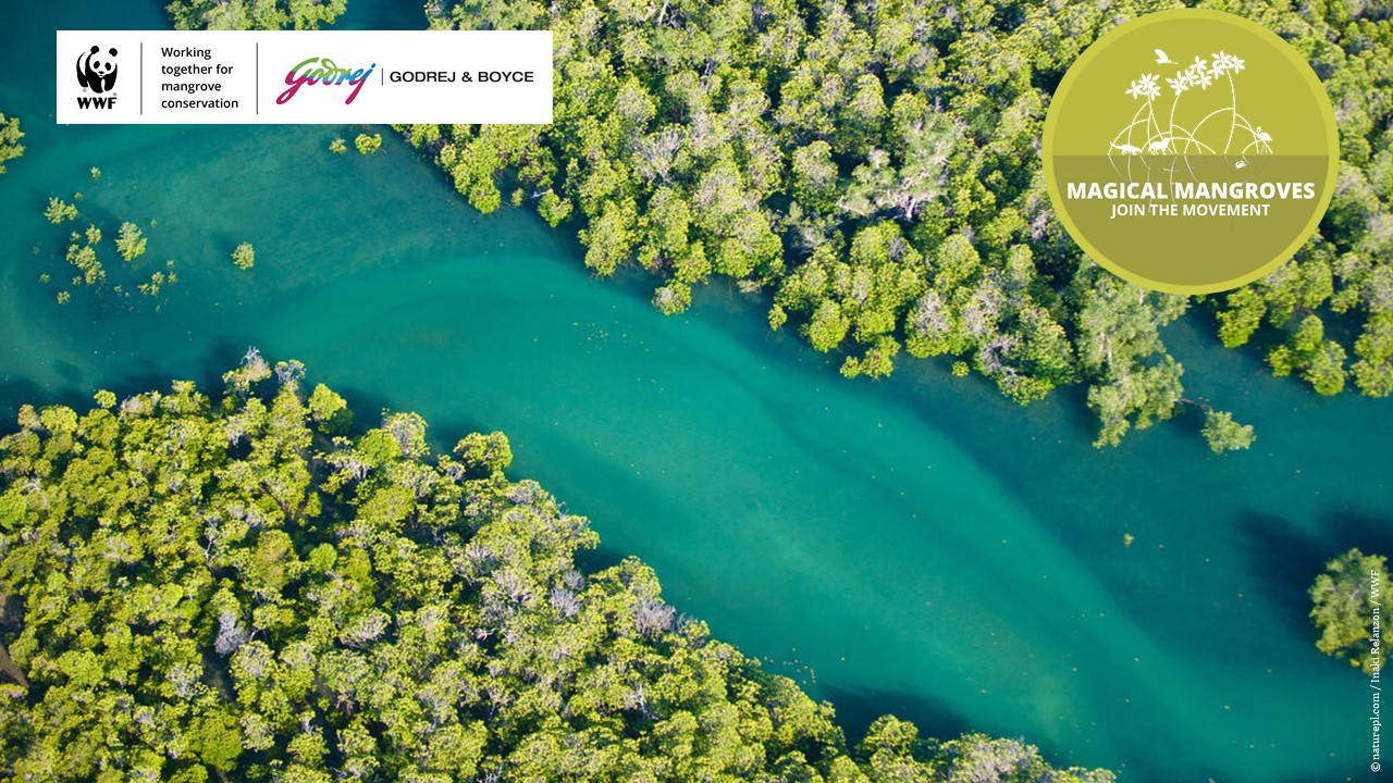Godrej & Boyce set to engage 20,000+ citizens in mangroves conservation