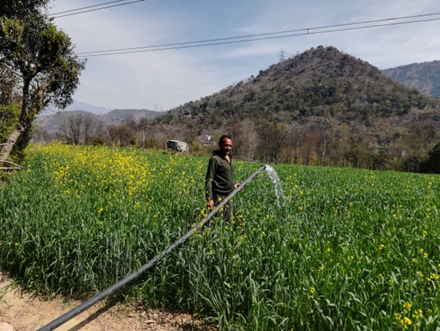 Adani Foundation at ACC Gagal revives water source for irrigation in Tikri village